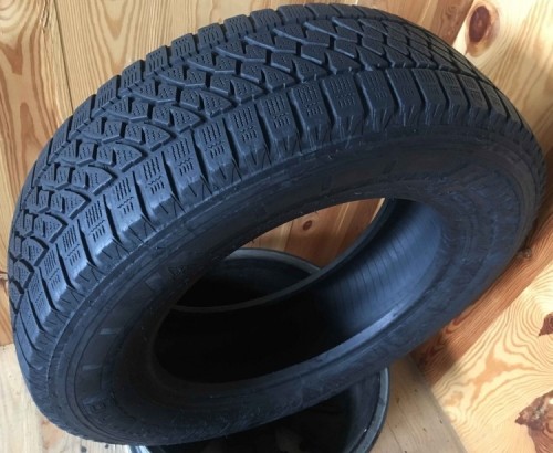 Bridgestone Blizzak W810