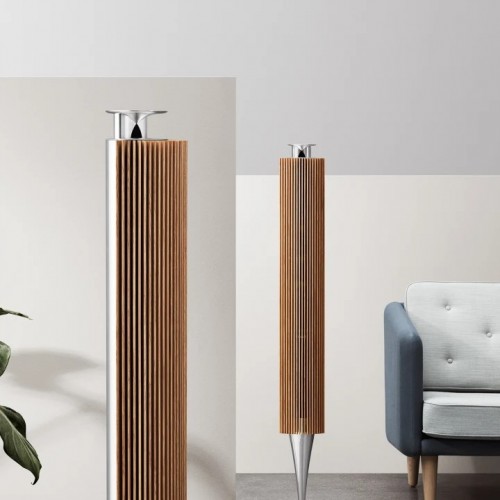 Bang&Olufsen BeoLab 18