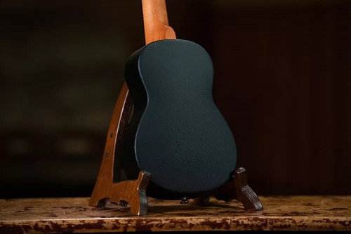 Ortega K2-VP