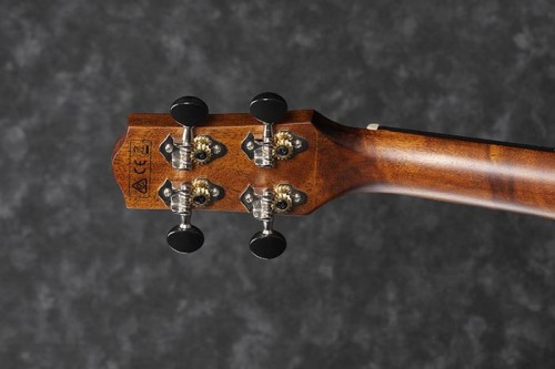 Ibanez UEW13MEE