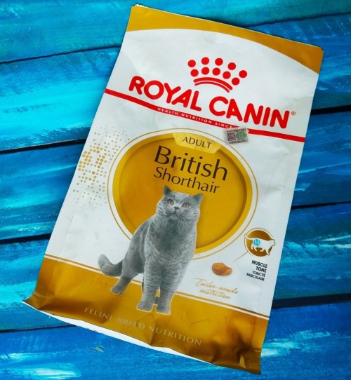 Royal Canin British Shorthair 34 2 kg