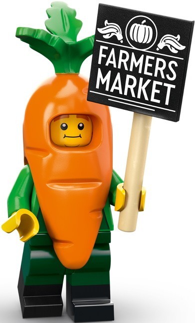 Lego Minifigures Series 24 71037