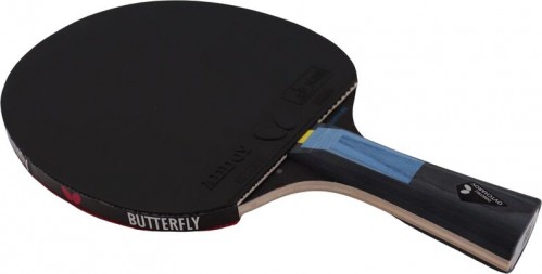 Butterfly Dimitrij Ovtcharov Saphire