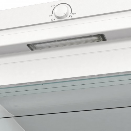 Gorenje FNP 619 EEW5L