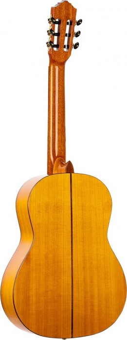 Ortega R170F