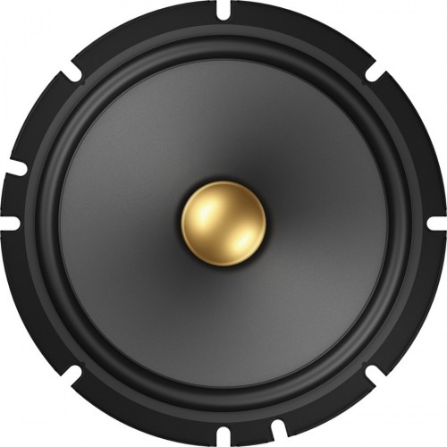 Pioneer TS-A1601C