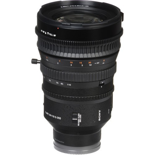 Sony 18-110mm f/4.0 G E OSS