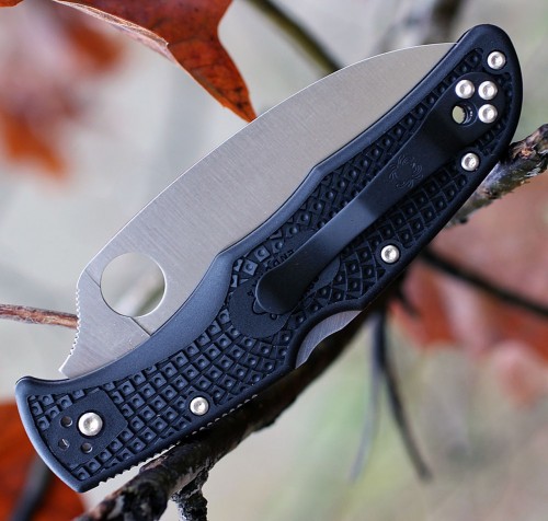 Spyderco Endura Wharncliffe