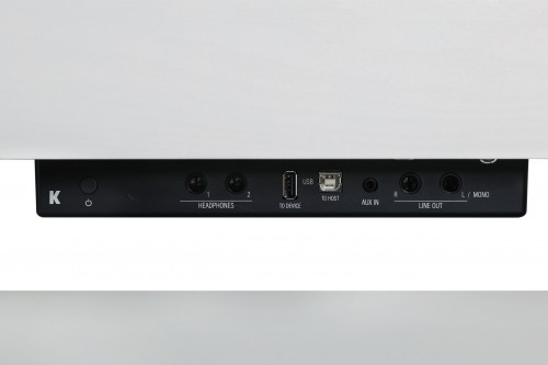 Kurzweil CUP P1
