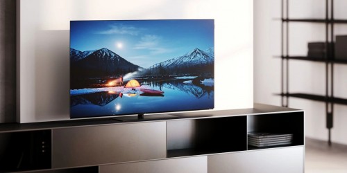 Loewe We. SEE 48 OLED