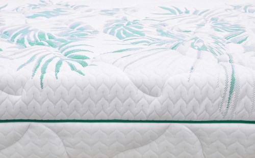 Latona Prime Keiko Tori