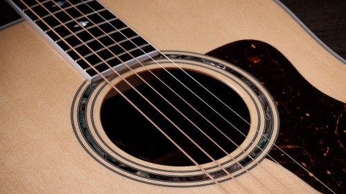 Taylor Legacy 810e