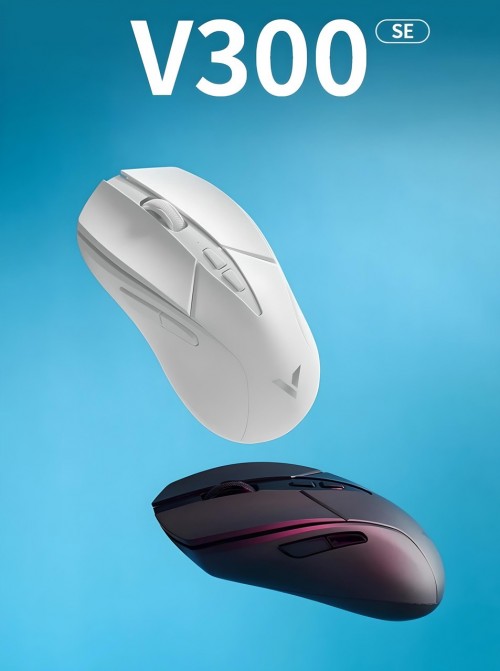 Rapoo V300 SE