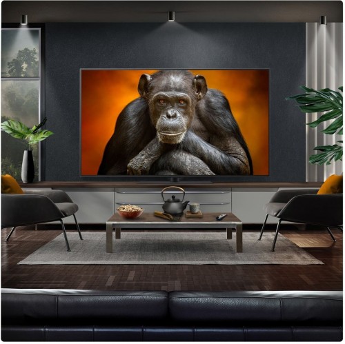 LG OLED55G5