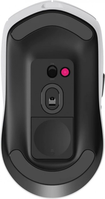 Rapoo VT1PRO MAX