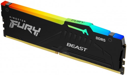 Kingston Fury Beast DDR5 RGB 1x64Gb