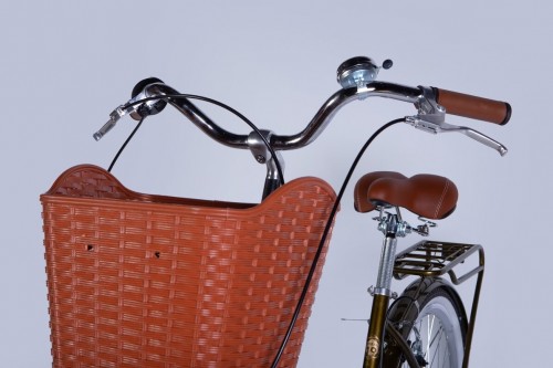 Dorozhnik Coral Vbr 2025