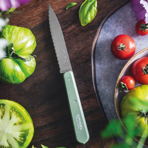 OPINEL 113 Les Essentiels