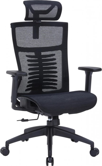 OfficePro Balance OC620