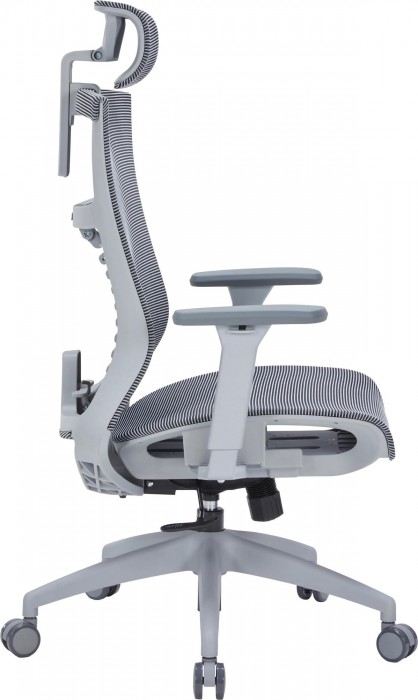 OfficePro Balance OC620