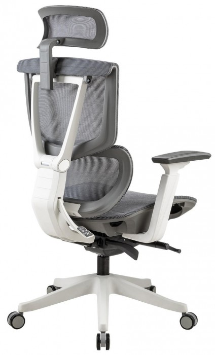 ADAPWORK S2 Mesh Senior ErgoChair