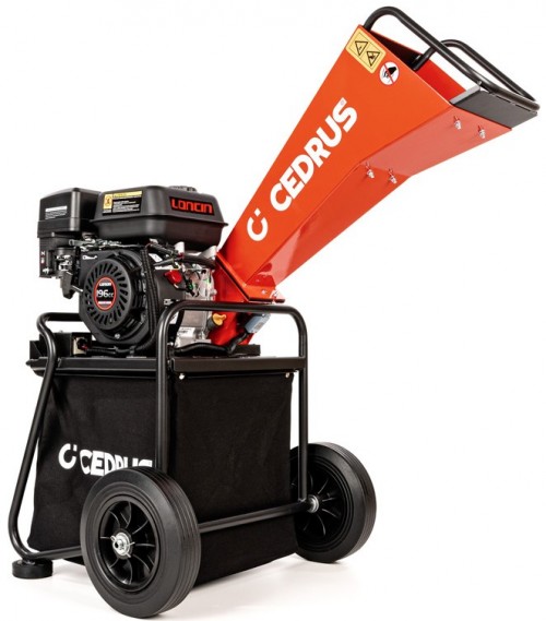 Cedrus RB01C