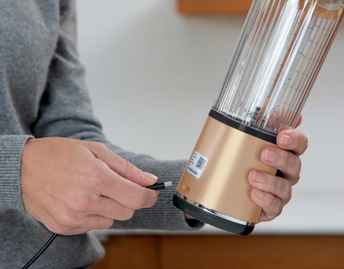 Ninja Blast Portable Blender