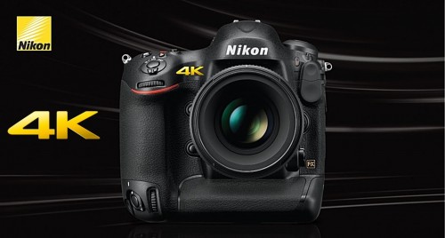 Nikon D5 body