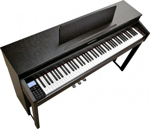 Kurzweil CUP310