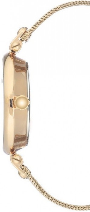 Anne Klein 3000 CHGB