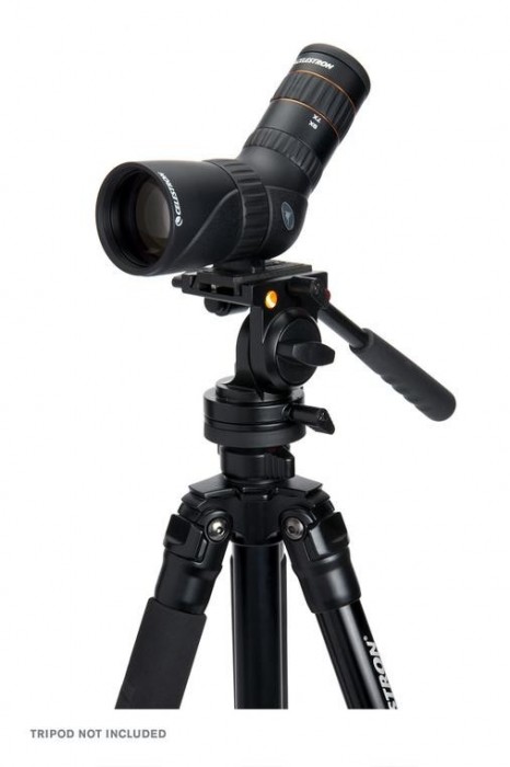 Celestron Hummingbird 50 ED