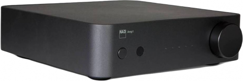 NAD AMP1