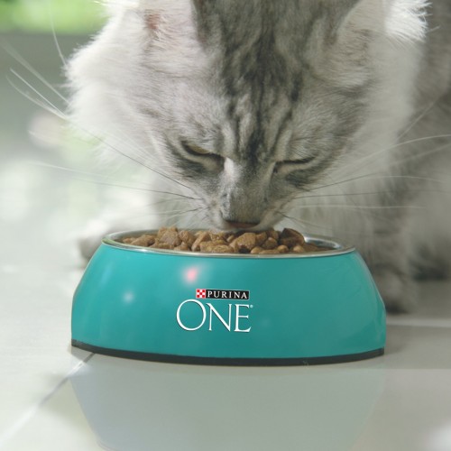 Purina ONE Sterilized Beef 2.8 kg