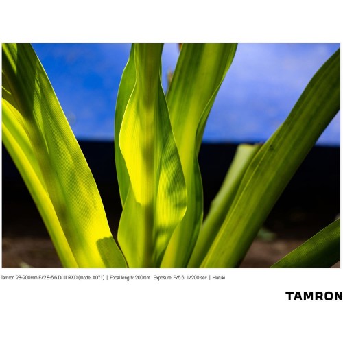 Tamron 28-200mm f/2.8-5.6 RXD Di III