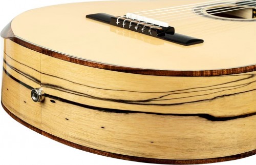 Ortega BYWSM