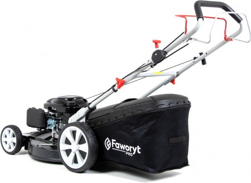 FAWORYT Pro MP53 SLA