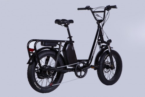 Dorozhnik eAdamant DD FR 750W 2025