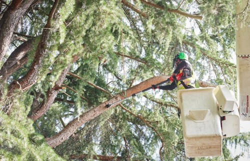 Milwaukee M18 FTPS30-0