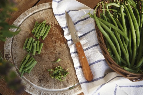 OPINEL 112 Les Essentiels