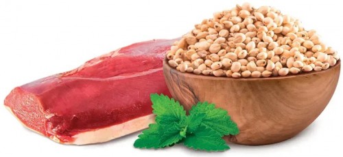 Home Food Adult Mini Duck 300 g