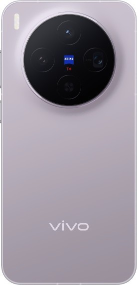 Vivo X300