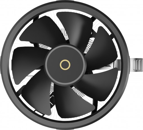 Ocypus Beta A10