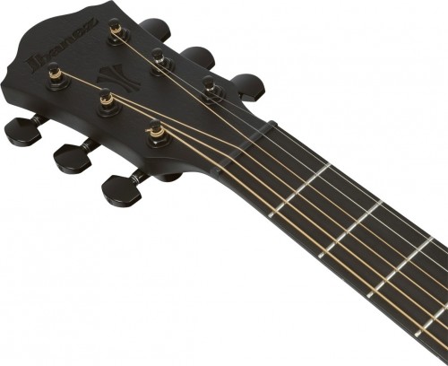 Ibanez AEG621