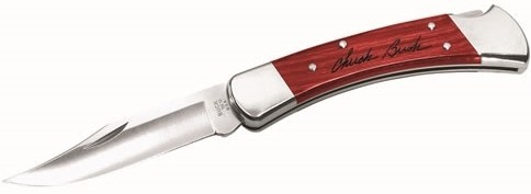 BUCK 110 Folding Hunter