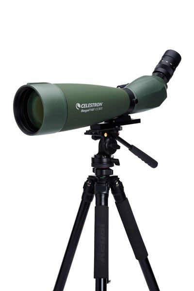 Celestron Regal M2 100 ED