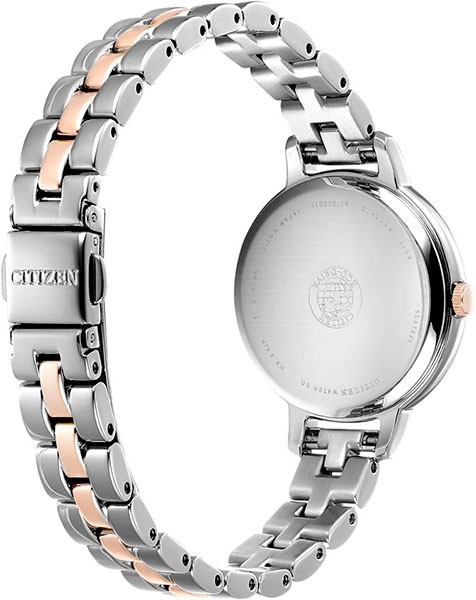 Citizen EW2446-81A