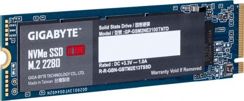 Gigabyte GP-GSM2NE3100TNTD