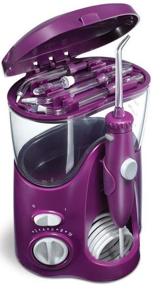 Waterpik Ultra WP-100