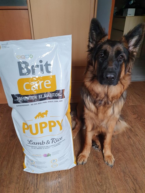 Brit Care Puppy Lamb/Rice 18 kg