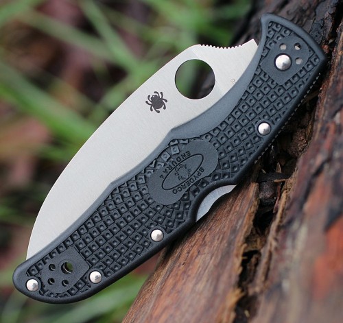 Spyderco Endura Wharncliffe